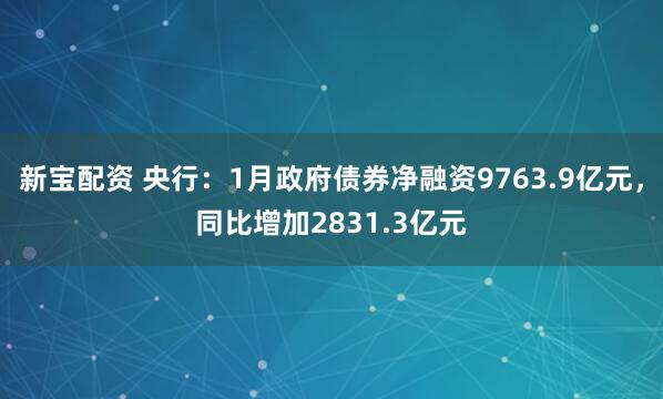 新宝配资 央行：1月政府债券净融资9763.9亿元，同比增加2831.3亿元