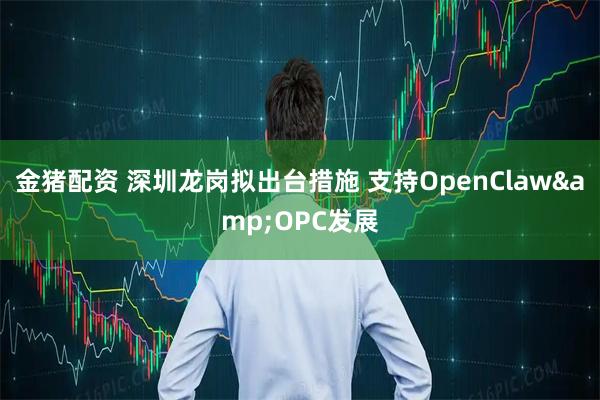 金猪配资 深圳龙岗拟出台措施 支持OpenClaw&OPC发展