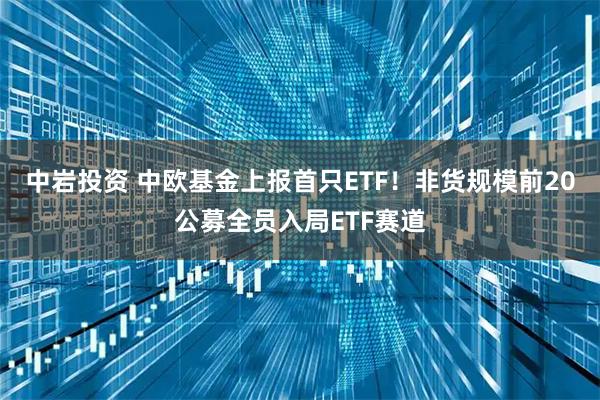 中岩投资 中欧基金上报首只ETF！非货规模前20公募全员入局ETF赛道