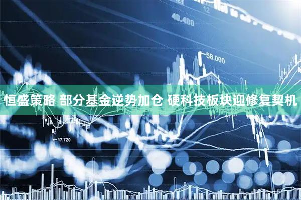 恒盛策略 部分基金逆势加仓 硬科技板块迎修复契机